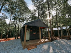 Brand New One Bedroom Cabin With Kitchenette Minutes From Lake Hartwell Cabin 7